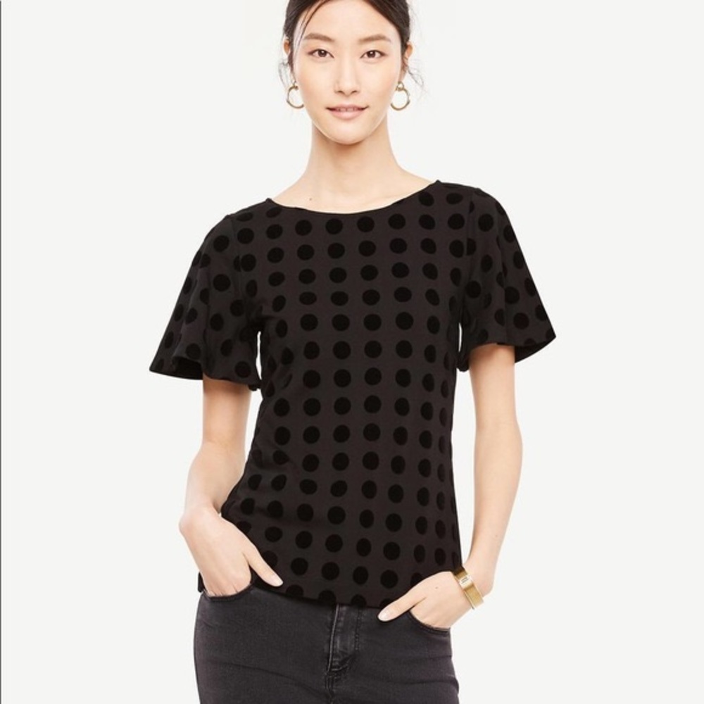 Ann Taylor Black Polka Dot Shirt Size S
